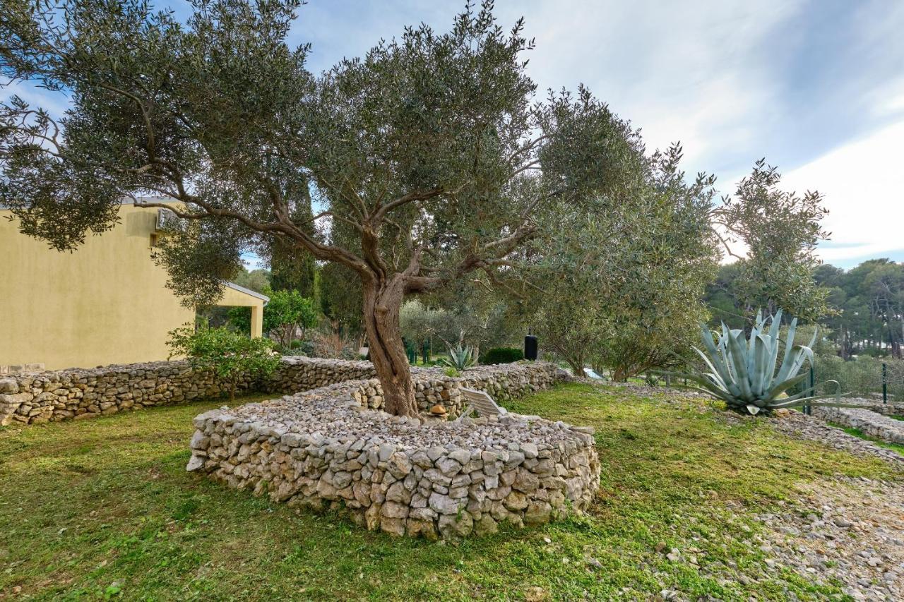 Casa Aromatica Maria Βίλα Mali Lošinj Εξωτερικό φωτογραφία
